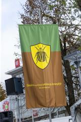 201 Svetovni festival prazenega krompirja Foto atelje Postojna